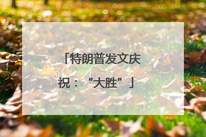 特朗普发文庆祝：“大胜”