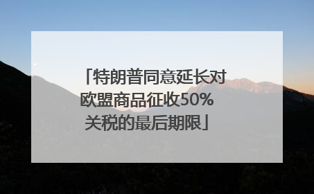 特朗普同意延长对欧盟商品征收50%关税的最后期限
