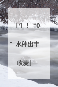 牛！“0”水种出丰收麦