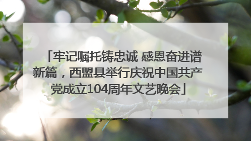 牢记嘱托铸忠诚 感恩奋进谱新篇，西盟县举行庆祝中国共产党成立104周年文艺晚会