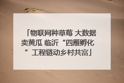 物联网种草莓 大数据卖黄瓜 临沂“四雁孵化”工程链动乡村共富