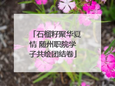 石榴籽聚华夏情 随州职院学子共绘团结卷