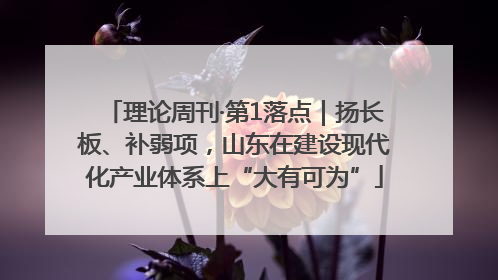 理论周刊·第1落点｜扬长板、补弱项，山东在建设现代化产业体系上“大有可为”
