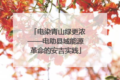 电染青山绿更浓——电助县域能源革命的安吉实践