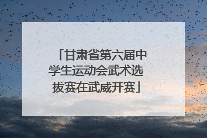 甘肃省第六届中学生运动会武术选拔赛在武威开赛