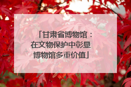 甘肃省博物馆：在文物保护中彰显博物馆多重价值