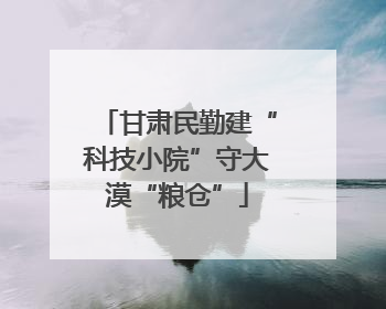 甘肃民勤建“科技小院”守大漠“粮仓”