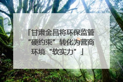 甘肃金昌将环保监管“硬约束”转化为营商环境“软实力”