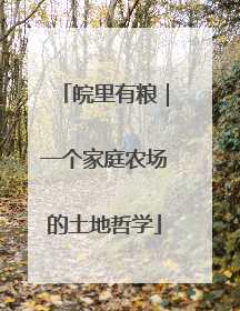 皖里有粮｜一个家庭农场的土地哲学