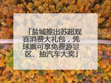 盐城推出苏超观赛消费大礼包，凭球票可享免费游景区、抽汽车大奖