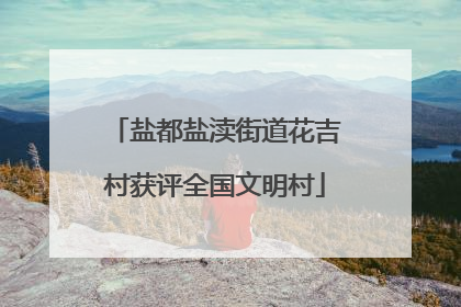 盐都盐渎街道花吉村获评全国文明村