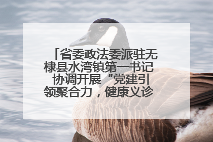 省委政法委派驻无棣县水湾镇第一书记 协调开展“党建引领聚合力，健康义诊惠乡亲”义诊活动