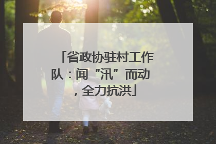 省政协驻村工作队：闻“汛”而动，全力抗洪