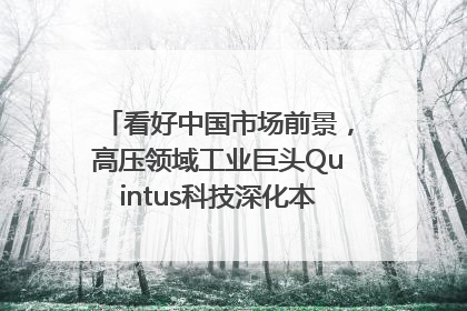 看好中国市场前景，高压领域工业巨头Quintus科技深化本土策略，构建全方位服务亚太区总部