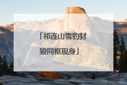 祁连山雪豹豺狼同框现身