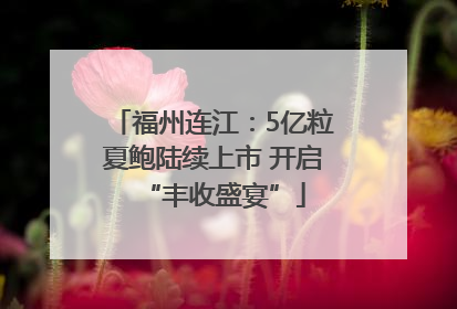福州连江：5亿粒夏鲍陆续上市 开启“丰收盛宴”