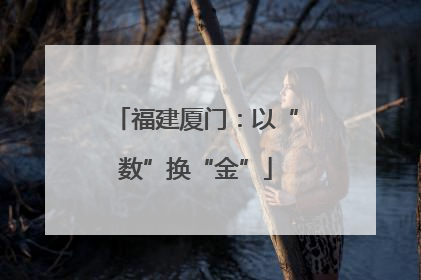福建厦门：以“数”换“金”