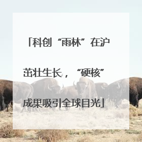科创“雨林”在沪茁壮生长，“硬核”成果吸引全球目光