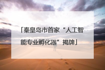 秦皇岛市首家“人工智能专业孵化器”揭牌