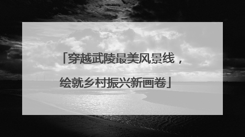 穿越武陵最美风景线，绘就乡村振兴新画卷