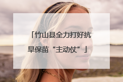 竹山县全力打好抗旱保苗“主动仗”