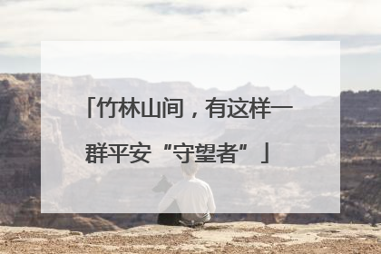 竹林山间，有这样一群平安“守望者”