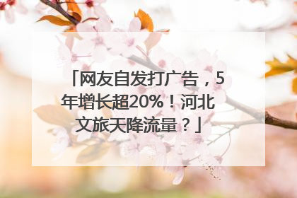 网友自发打广告，5年增长超20%！河北文旅天降流量？