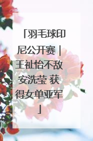 羽毛球印尼公开赛｜王祉怡不敌安洗莹 获得女单亚军