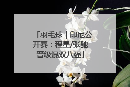 羽毛球｜印尼公开赛：程星/张驰晋级混双八强