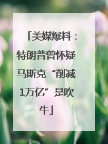 美媒爆料：特朗普曾怀疑马斯克“削减1万亿”是吹牛