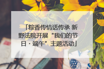 粽香传情话传承 新野法院开展“我们的节日・端午”主题活动
