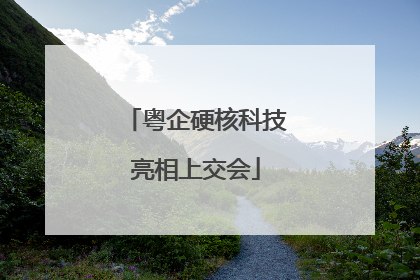 粤企硬核科技亮相上交会
