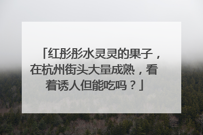 红彤彤水灵灵的果子，在杭州街头大量成熟，看着诱人但能吃吗？