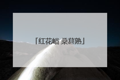 红花峪 桑葚熟