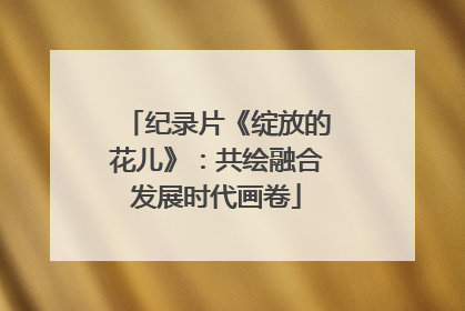 纪录片《绽放的花儿》：共绘融合发展时代画卷