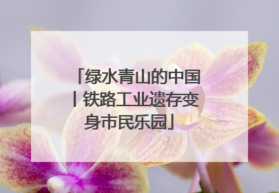 绿水青山的中国丨铁路工业遗存变身市民乐园