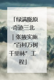 绿满陇原·奇迹三北｜张掖实施“百村万树千里林”工程