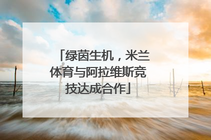 绿茵生机，米兰体育与阿拉维斯竞技达成合作