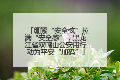 绷紧“安全弦”拉满“安全感”，黑龙江省双鸭山公安用行动为平安“加码”