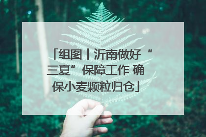 组图丨沂南做好“三夏”保障工作 确保小麦颗粒归仓