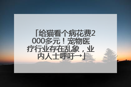 给猫看个病花费2000多元！宠物医疗行业存在乱象，业内人士呼吁→