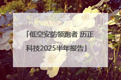 低空安防领跑者 历正科技2025半年报告