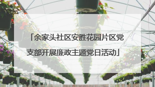余家头社区安胜花园片区党支部开展廉政主题党日活动