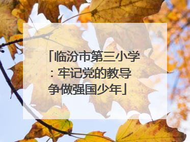 临汾市第三小学：牢记党的教导 争做强国少年