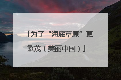 为了“海底草原”更繁茂（美丽中国）