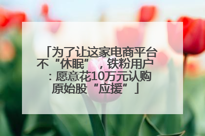 为了让这家电商平台不“休眠”，铁粉用户：愿意花10万元认购原始股“应援”