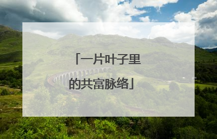 一片叶子里的共富脉络