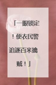 一眼锁定！便衣民警追逐百米擒贼！