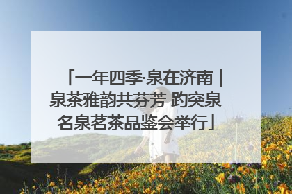 一年四季·泉在济南｜泉茶雅韵共芬芳 趵突泉名泉茗茶品鉴会举行