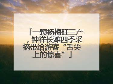 一颗杨梅旺三产，钟祥长滩四季采摘带给游客“舌尖上的惊喜”
